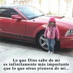 Gerardo Tirado - @gerardo.tirado.756 - Instagram