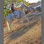 Gerardo Tirado - @gerardo_t98 - Instagram