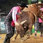 Gerardo Vaca - @vaca3248 - Instagram