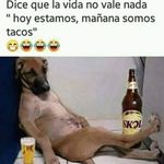 Gerardo veloz - @veloz3888 - Instagram