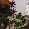 Gerardo Viveros - @gerardo.viveros62 - TikTok