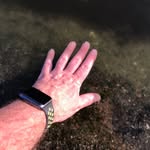 Gerd Schmidt - @zinni64 - Instagram
