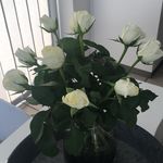 Gerda Larsen - @gerdaogjan - Instagram