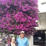 Gerda Muller - @gerda.muller.9803 - Instagram
