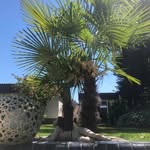 Gerda Müller - @gerdamuller852 - Instagram