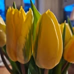Gerda Timmermans - Facebook
