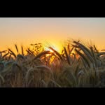 Gerhard Klassen - @gerhardklassen09 - Instagram