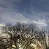 Gerhard Sanders - @gerhard.sanders - TikTok