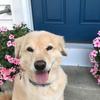 geriashley295 - @geriashley295 - TikTok