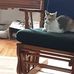 Gerri Clark - Facebook