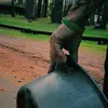 geridavis - @mimimasters77 - TikTok