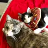 Geri and Frank - @loomt3 - TikTok
