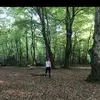 G3ri - @gerihamilton8 - TikTok