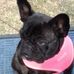 Geri Hamilton - Facebook