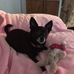 Geri Lynn Hamilton - Facebook