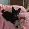 gerilynnhamilton - @gerilynnhamilton - TikTok