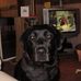 Geri James - Facebook