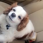 Geri James-Roxby - @geri.jamesroxby - Instagram