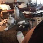 Geri Edwards Morris Hohnstock - @memehohnstock - Instagram