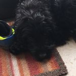 Geri Morris - @geri_morris_1 - Instagram