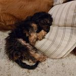 Geri Morris - @geri.morris.3 - Instagram