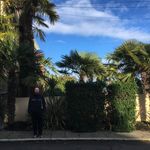 Geri Morris - @palmsofseattle - Instagram