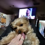 Geri Roberts - @gertr.ude1975 - Instagram