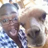 Gerri Roberts - @gerriroberts1 - TikTok