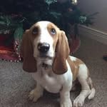 Geri Ryan - @gerfinlay - Instagram