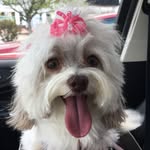 Geri Ryan - @gryan1017 - Instagram
