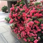 Geri Ryan - @geri0199 - Instagram