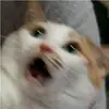 RYANI GERI VERIN ULAAĞGĞHHHNNN - @ryani__geri__istiyoruz - TikTok