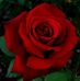 Geri Welch - Facebook