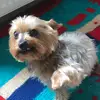 Gerlinde Keller - @gerlindekeller - TikTok