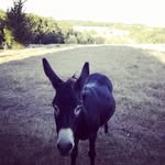 Germain Jackson Randaxhe - @germainrandaxhe - Instagram