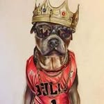 Germaine Morris - @germainemorriss - Instagram