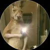 germanbello14 - @germanbello14 - TikTok