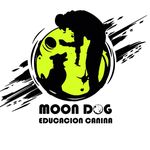 German Cabrera - @moondog.es_educacion_canina - Instagram
