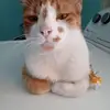 German Casas - @german.casas57 - TikTok