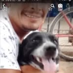 German Coronado - Facebook
