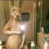 German Disla - @german.disla - TikTok