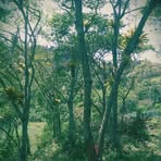 German Erazo - Facebook