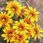 German Gallo - @german_gallo - Instagram
