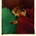German Irizarry - @german.irizarry.7 - Instagram