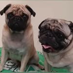 German Jimenez - @german.1984 - Instagram