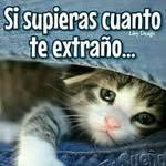 germán Rodríguez - @germanlancheros23 - Instagram