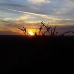 German Lemus - @german.lemus.7547 - Instagram