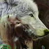 German Mendez - @german.mendez47 - TikTok