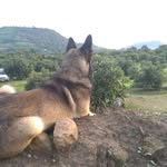 Germán Nolasco - @germannolasco79 - Instagram