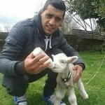 Geronimo Alvarez - @geronimo.alvarez - Instagram